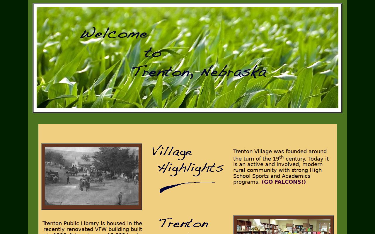 Trenton court docket and village office record source